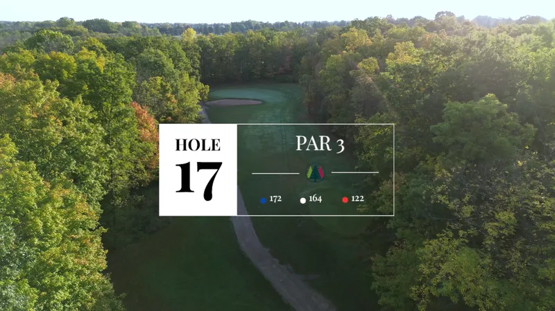 Golf Courses drone photography